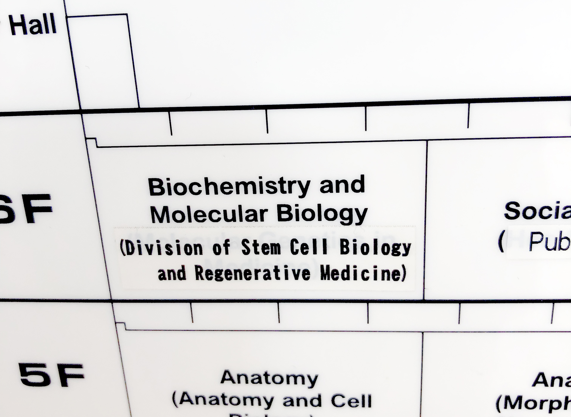 Department of Biochemistry and Molecular Biology, Division of Regenerative and Reparative Medicine (as of 2019)