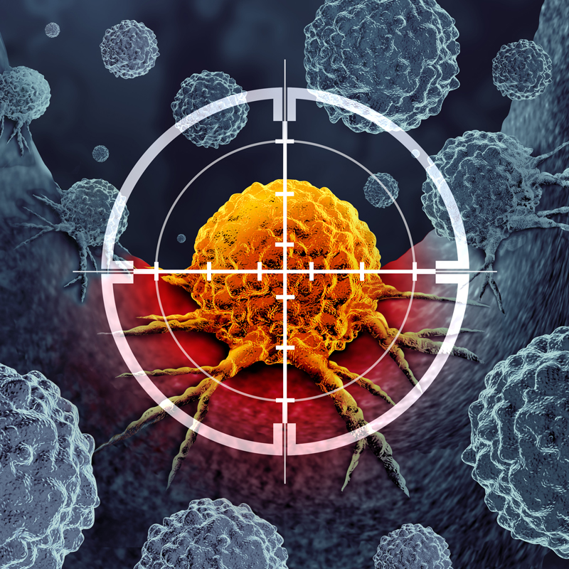 Development of Cell Targeting Technology (Biozipcode)