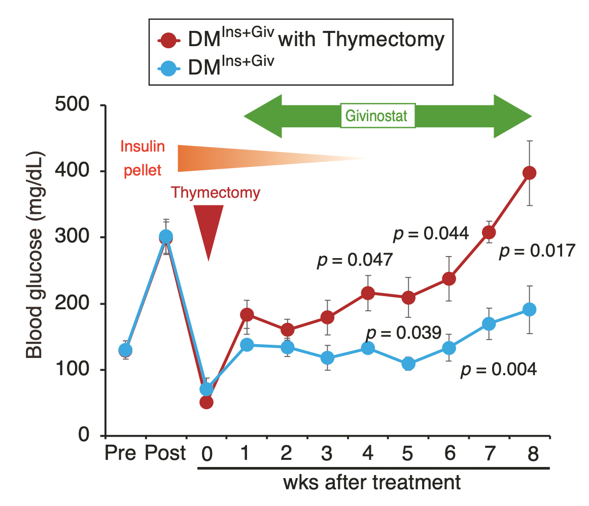 Diabetes Involves Epigenetic Abnormalities in Both Bone Marrow and Thymus